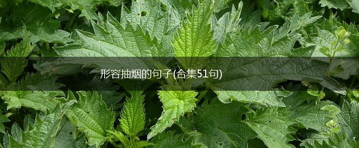 形容抽烟的句子(合集51句),第1张