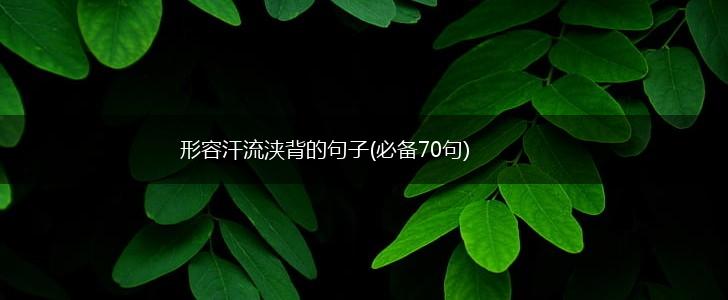 形容汗流浃背的句子(必备70句),第1张