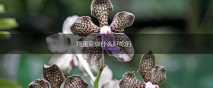 鸡蛋能做什么好吃的,第1张