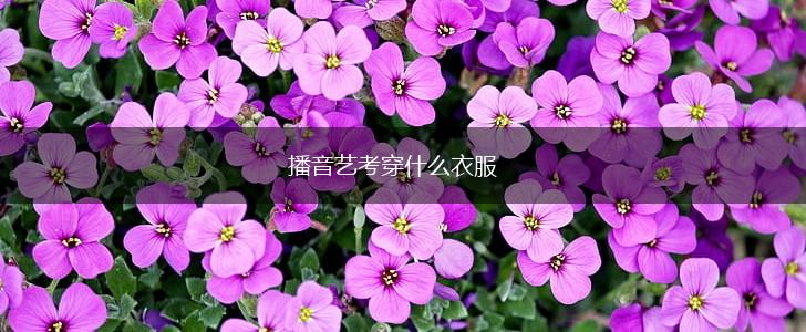 播音艺考穿什么衣服,第1张