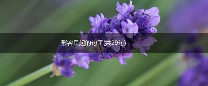 形容早起的句子(共29句),第1张