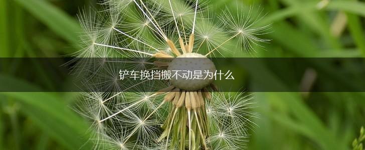 铲车换挡搬不动是为什么,第1张