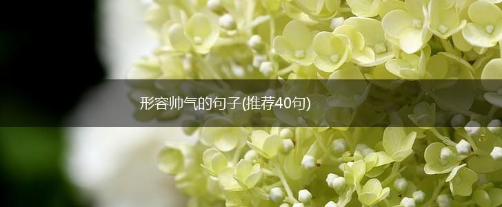 形容帅气的句子(推荐40句),第1张