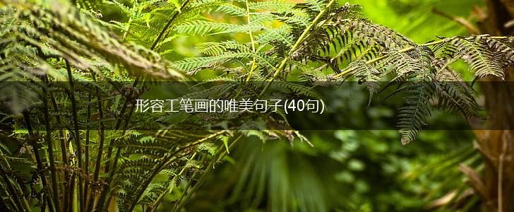 形容工笔画的唯美句子(40句),第1张