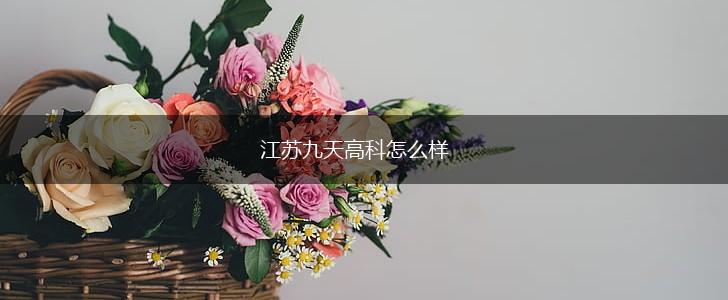 江苏九天高科怎么样,第1张