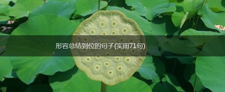 形容总结到位的句子(实用71句),第1张