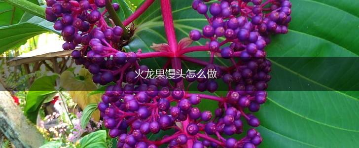 火龙果馒头怎么做,第1张