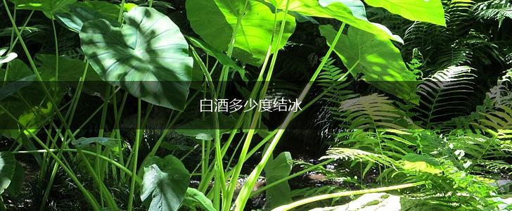 白酒多少度结冰,第1张