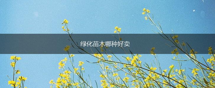 绿化苗木哪种好卖,第1张