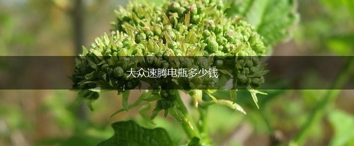 大众速腾电瓶多少钱,第1张