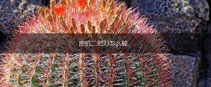 挖机二把刀怎么破,第1张