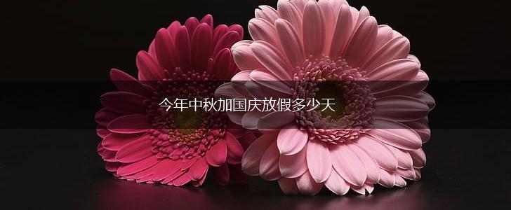 今年中秋加国庆放假多少天,第1张