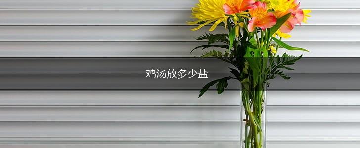 鸡汤放多少盐,第1张