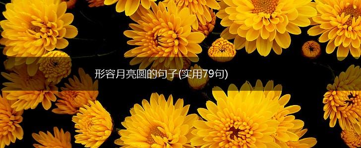 形容月亮圆的句子(实用79句),第1张
