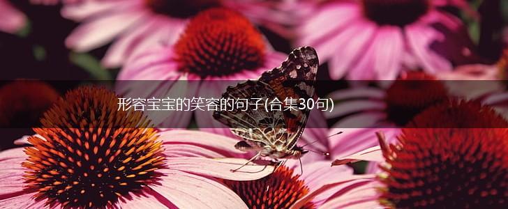 形容宝宝的笑容的句子(合集30句),第1张