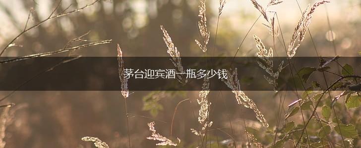 茅台迎宾酒一瓶多少钱,第1张