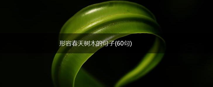 形容春天树木的句子(60句),第1张