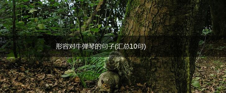 形容对牛弹琴的句子(汇总10句),第1张