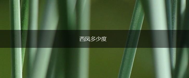 西凤多少度,第1张