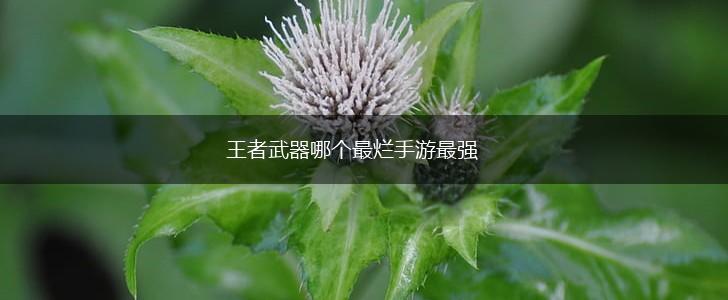 王者武器哪个最烂手游最强,第1张