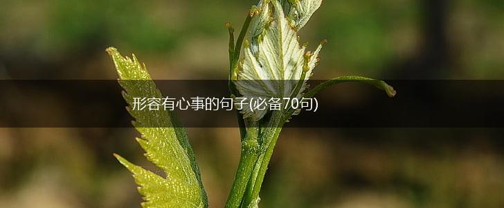 形容有心事的句子(必备70句),第1张