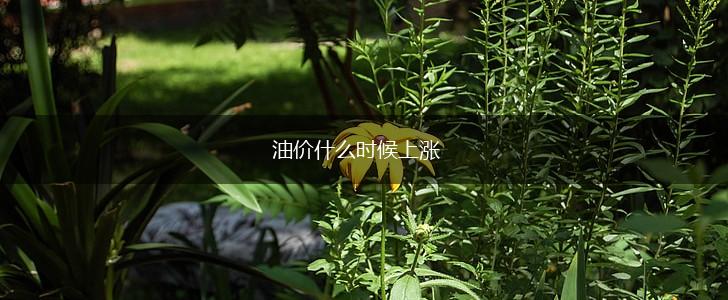 油价什么时候上涨,第1张