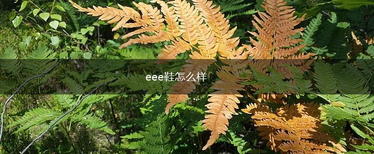 eee鞋怎么样,第1张
