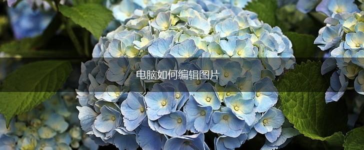 电脑如何编辑图片,第1张