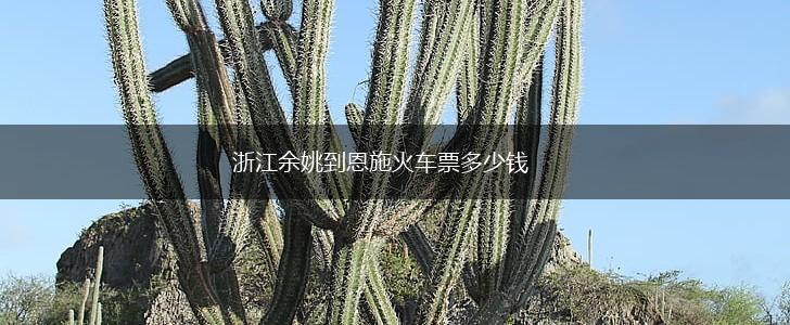 浙江余姚到恩施火车票多少钱,第1张