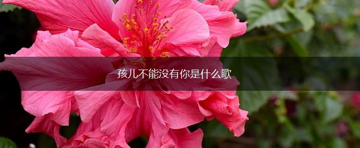 孩儿不能没有你是什么歌,第1张