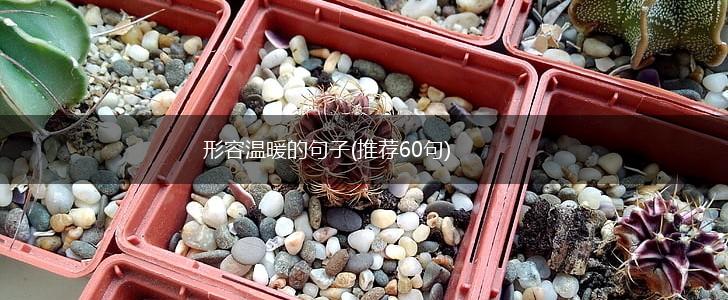 形容温暖的句子(推荐60句),第1张