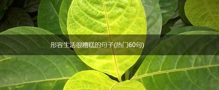 形容生活很糟糕的句子(热门60句),第1张