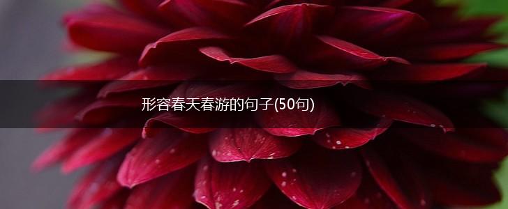 形容春天春游的句子(50句),第1张