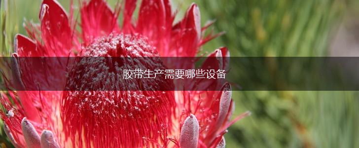 胶带生产需要哪些设备,第1张