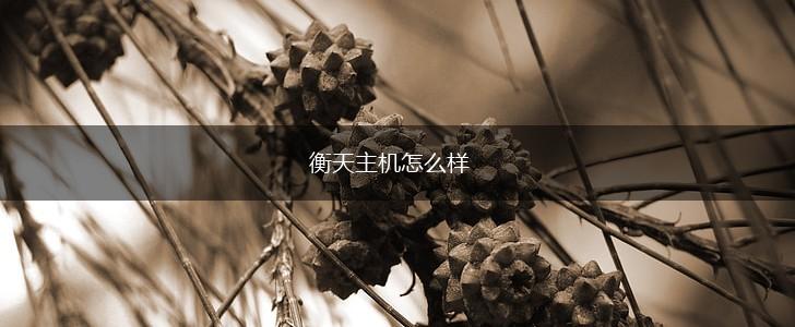衡天主机怎么样,第1张