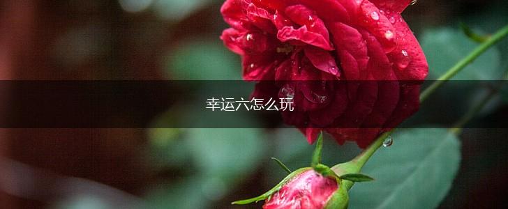 幸运六怎么玩,第1张