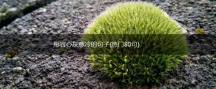 形容心灰意冷的句子(热门80句),第1张