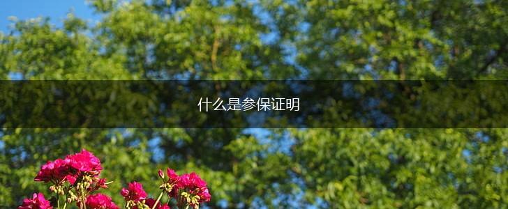 什么是参保证明,第1张