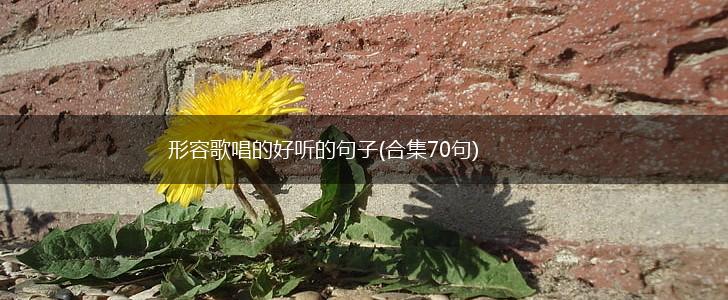 形容歌唱的好听的句子(合集70句),第1张