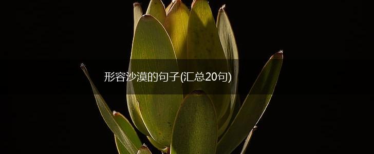 形容沙漠的句子(汇总20句),第1张