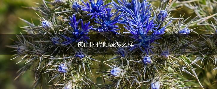 佛山时代倾城怎么样,第1张