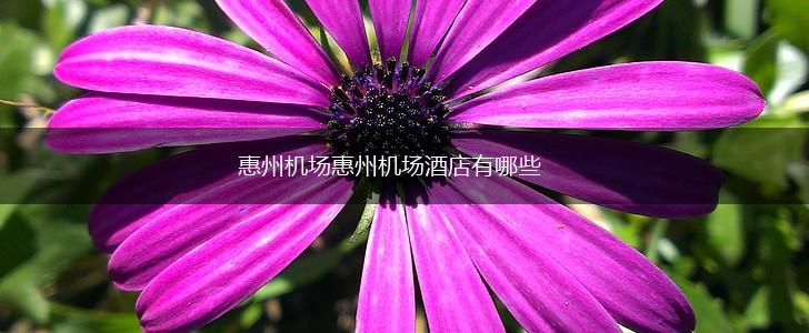 惠州机场惠州机场酒店有哪些,第1张