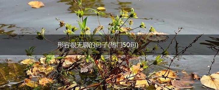 形容很无聊的句子(热门50句),第1张