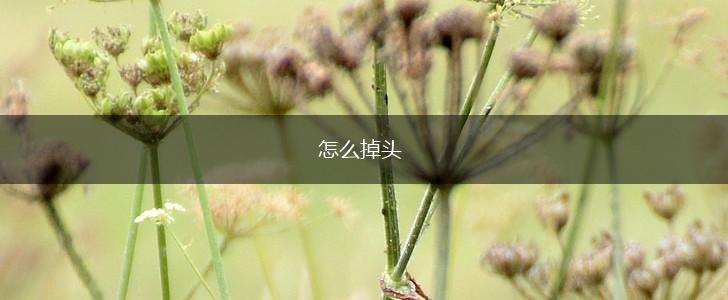 怎么掉头,第1张