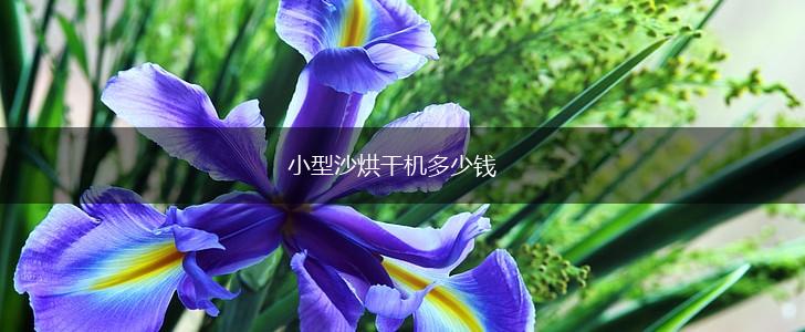 小型沙烘干机多少钱,第1张