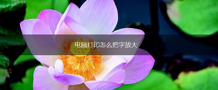 电脑打印怎么把字放大,第1张