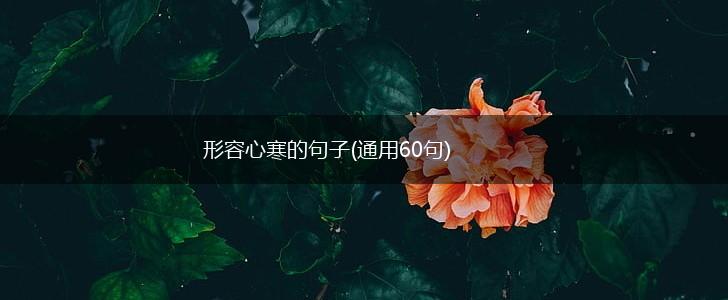 形容心寒的句子(通用60句),第1张