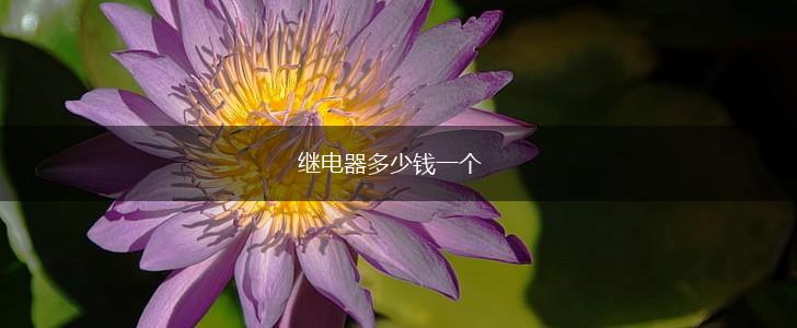 继电器多少钱一个,第1张