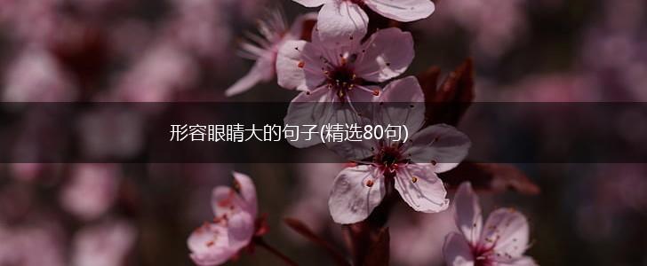 形容眼睛大的句子(精选80句),第1张