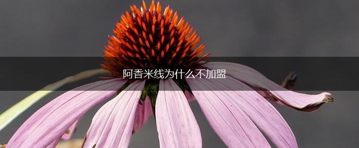 阿香米线为什么不加盟,第1张